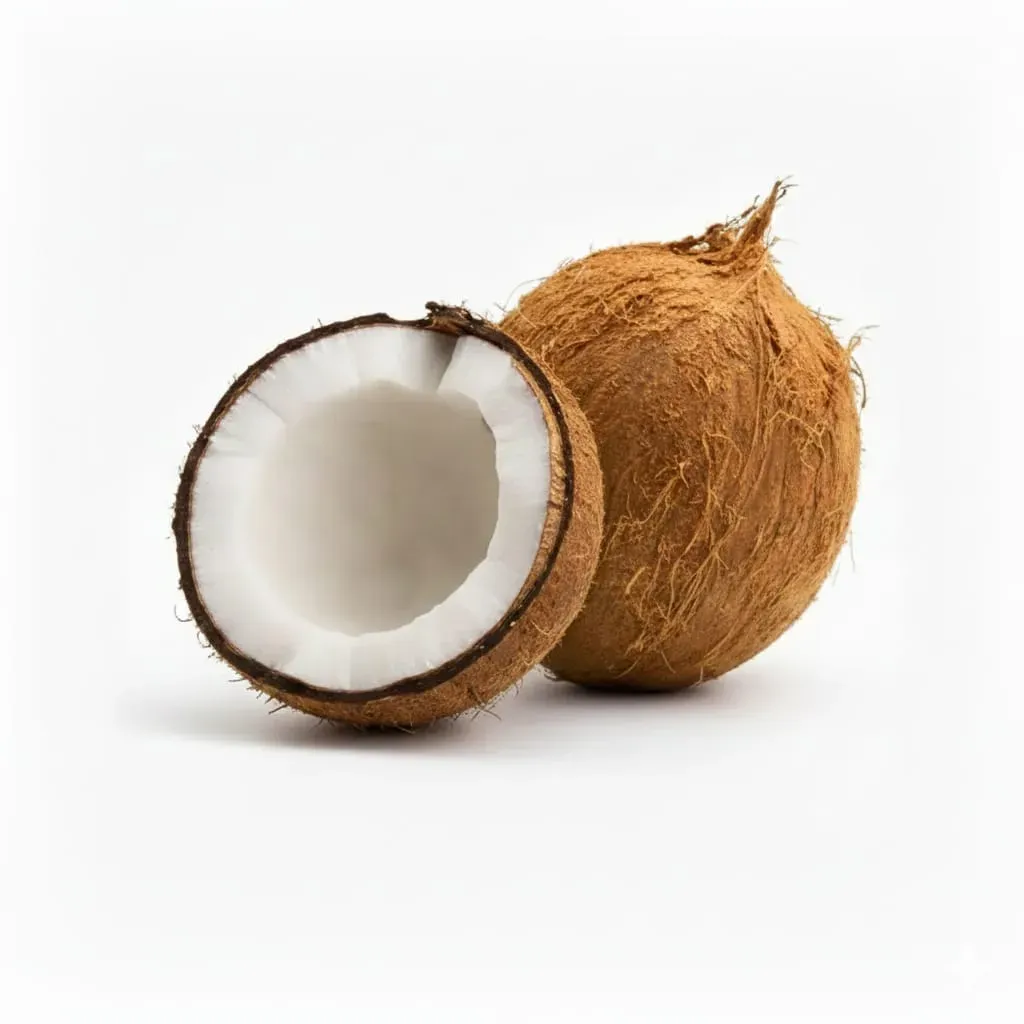 Narikel (Coconut)